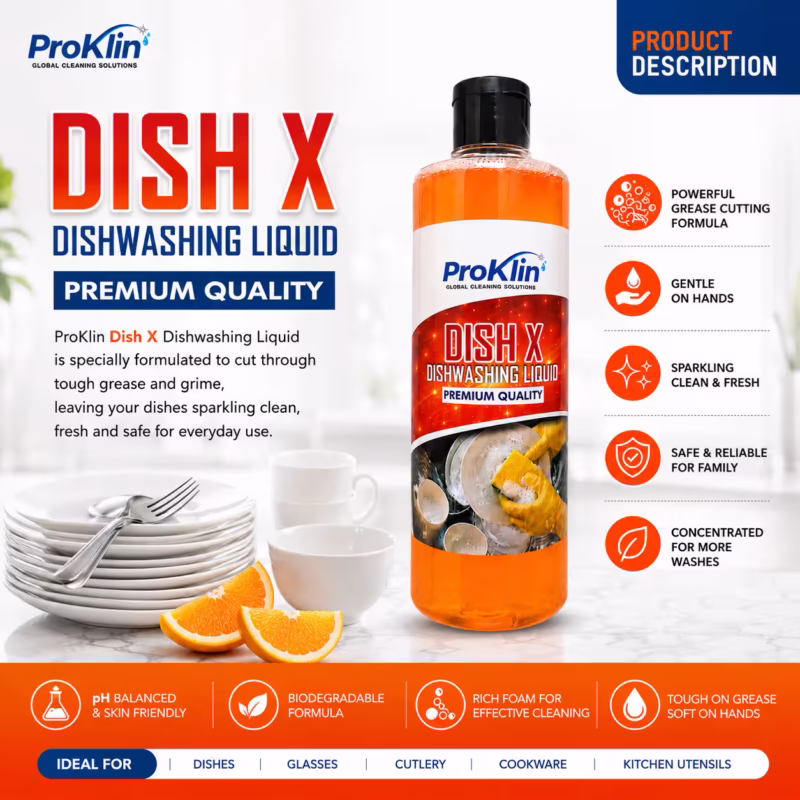 DishX Dishwashing Liquid